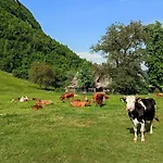 Holiday home Charming Blacksmith's House @ Bohinj