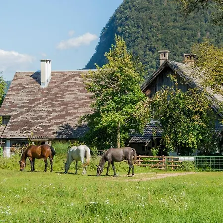 Charming Blacksmith's House @ Holiday home *