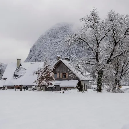Charming Blacksmith's House @ * Bohinj