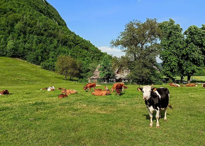 בית נופש Charming Blacksmith's House @ בוהין